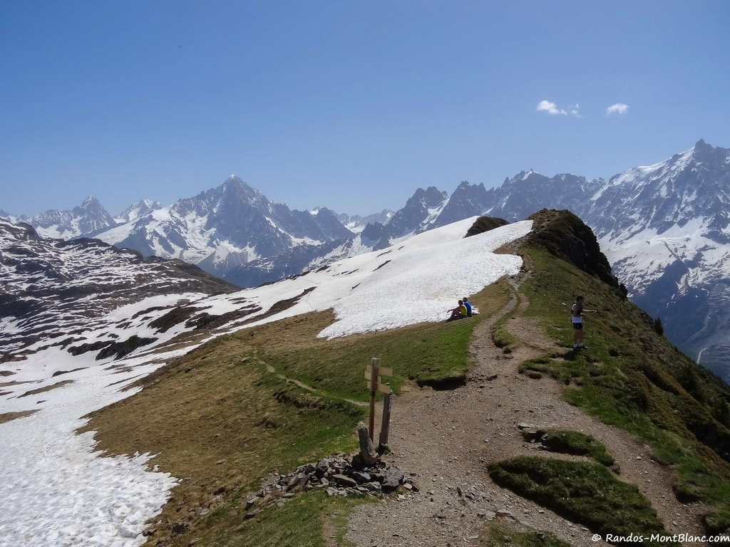aiguillette