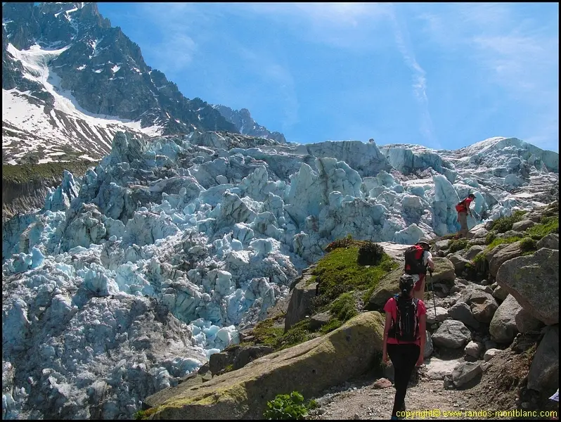 Glacier