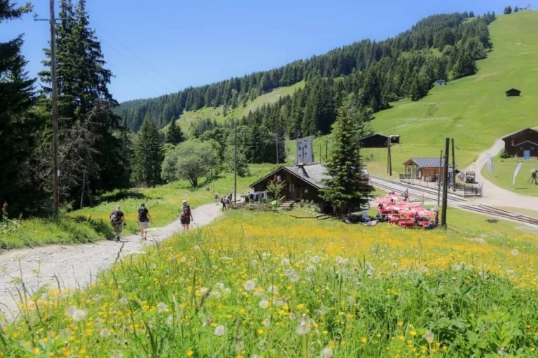 Découvrez le Col de Voza : Randonnées & Activités