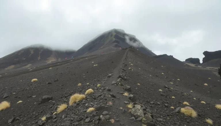 Piton des Neiges disparition : ce que l&rsquo;on sait sur Mouddassir Amod, randonneur de 23 ans retrouvé sans vie